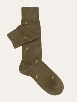 Verde Scuro